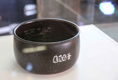 安意如与青年画家刘少白对谈谈“美的跨界”