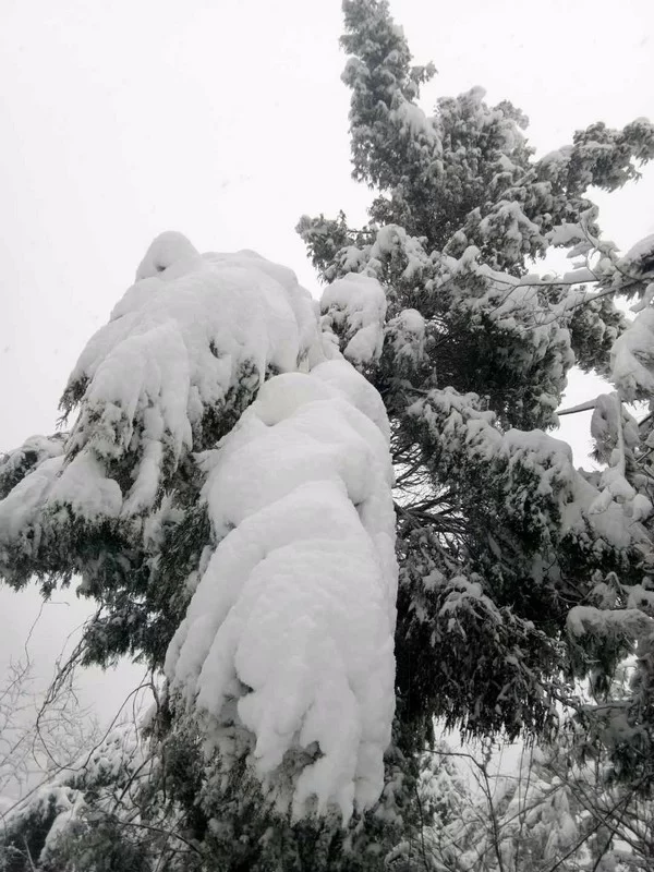 龙顺:在风雪中屹立(图2) 龙顺:在风雪中屹立(图2)
