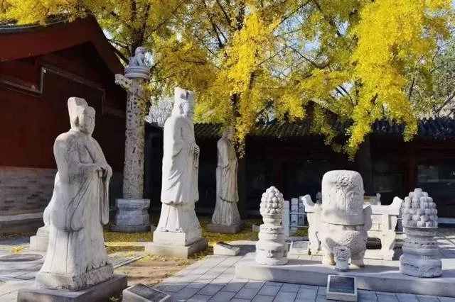 春暖花开季 阅读正当时——角楼图书馆线上直播"2020读城"活动启动(图6) 春暖花开季 阅读正当时——角楼图书馆线上直播