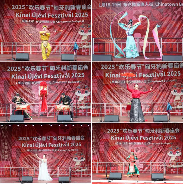 新春乐章唱响多瑙河畔——2025年欢乐春节演出活动在匈牙利布达佩斯举行(图5)