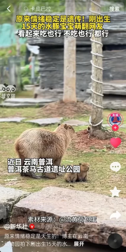 “聪明游”如何提供旅游新体验？(图8)