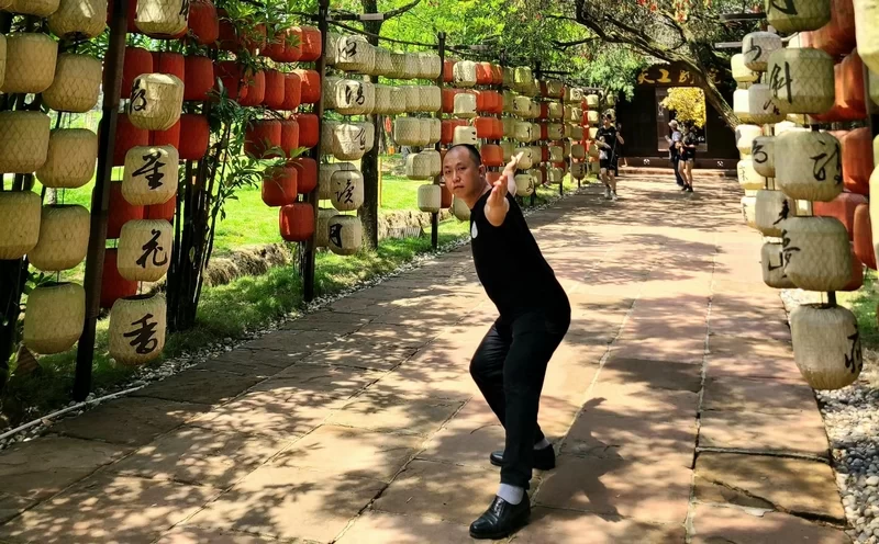 【观点】龙顺：传统武术不能上擂台不是拳不行，而是练法没跟上时代(图1)